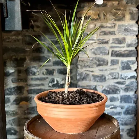 Nyaraló Black Rock Agriá