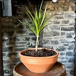 Casa vacanze Black Rock Agria